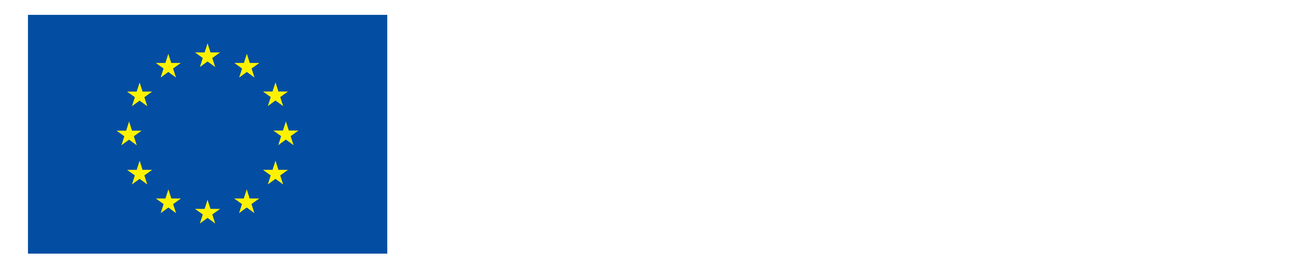 Co-Funded by the EU